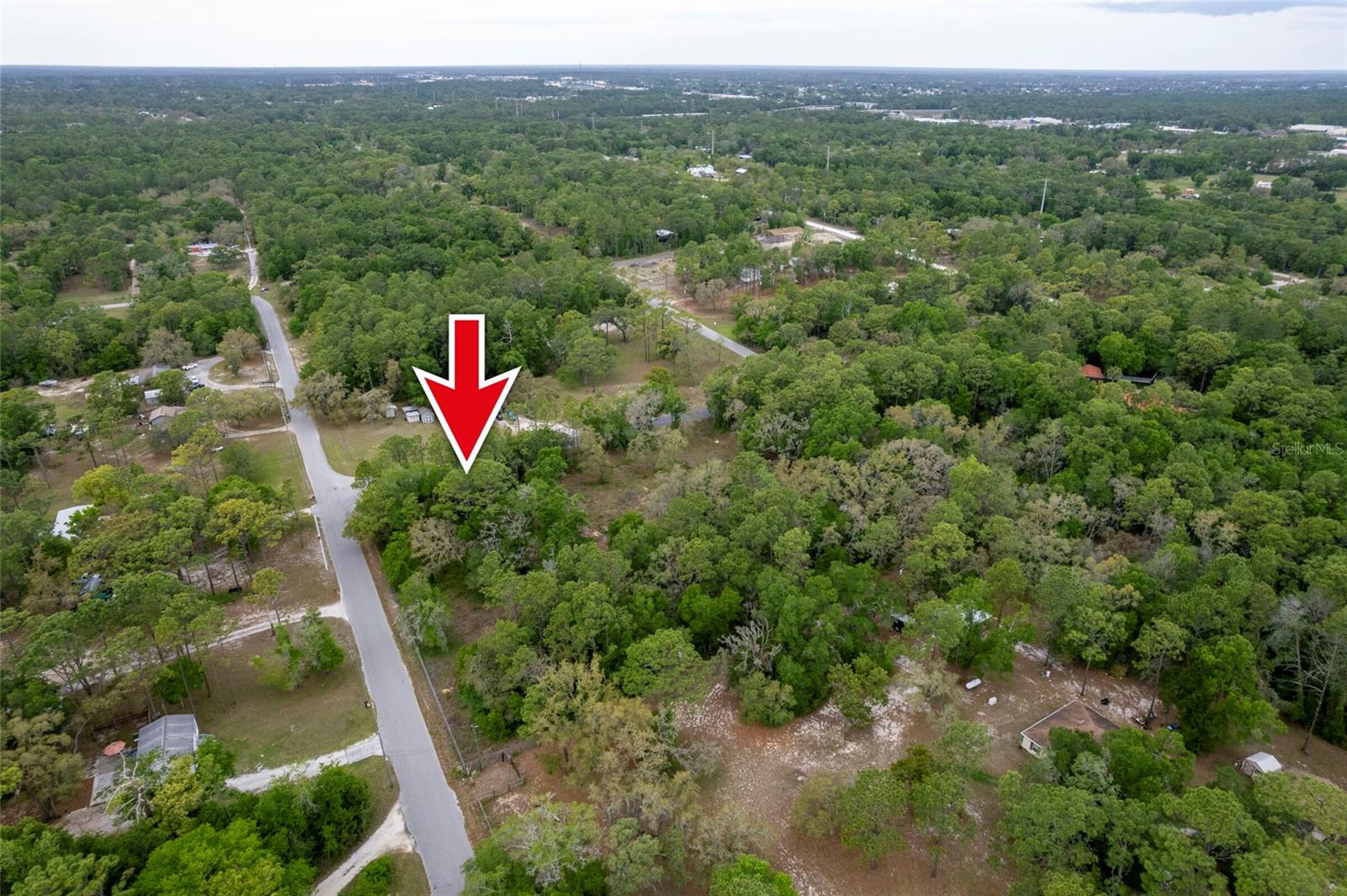 16021 FORZANDO AVE, BROOKSVILLE, FL, 34604