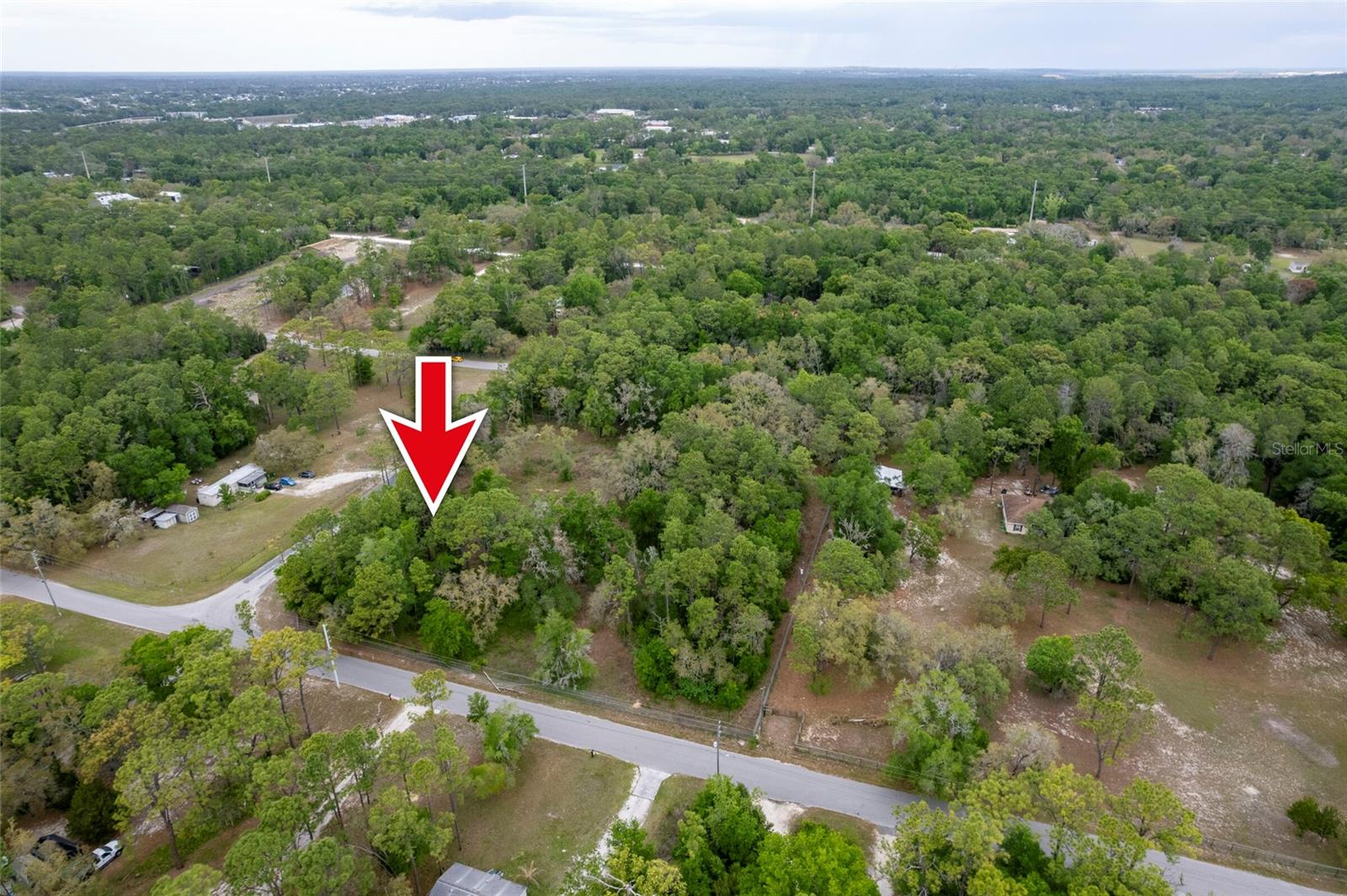 16021 FORZANDO AVE, BROOKSVILLE, FL, 34604