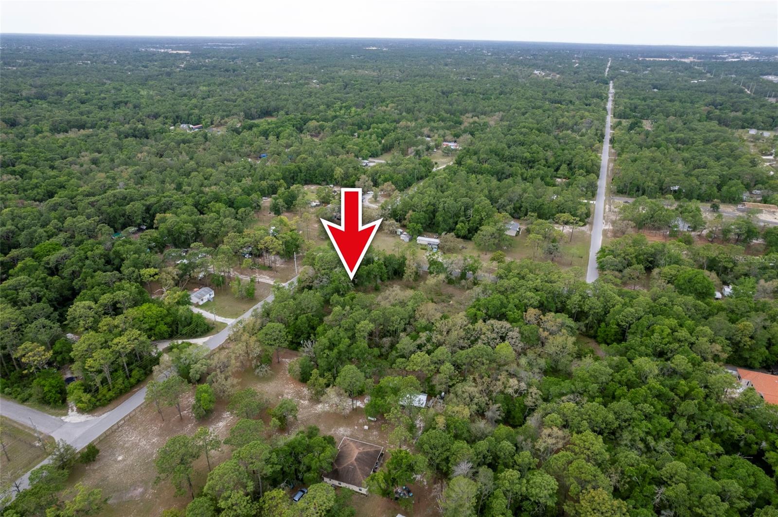 16021 FORZANDO AVE, BROOKSVILLE, FL, 34604