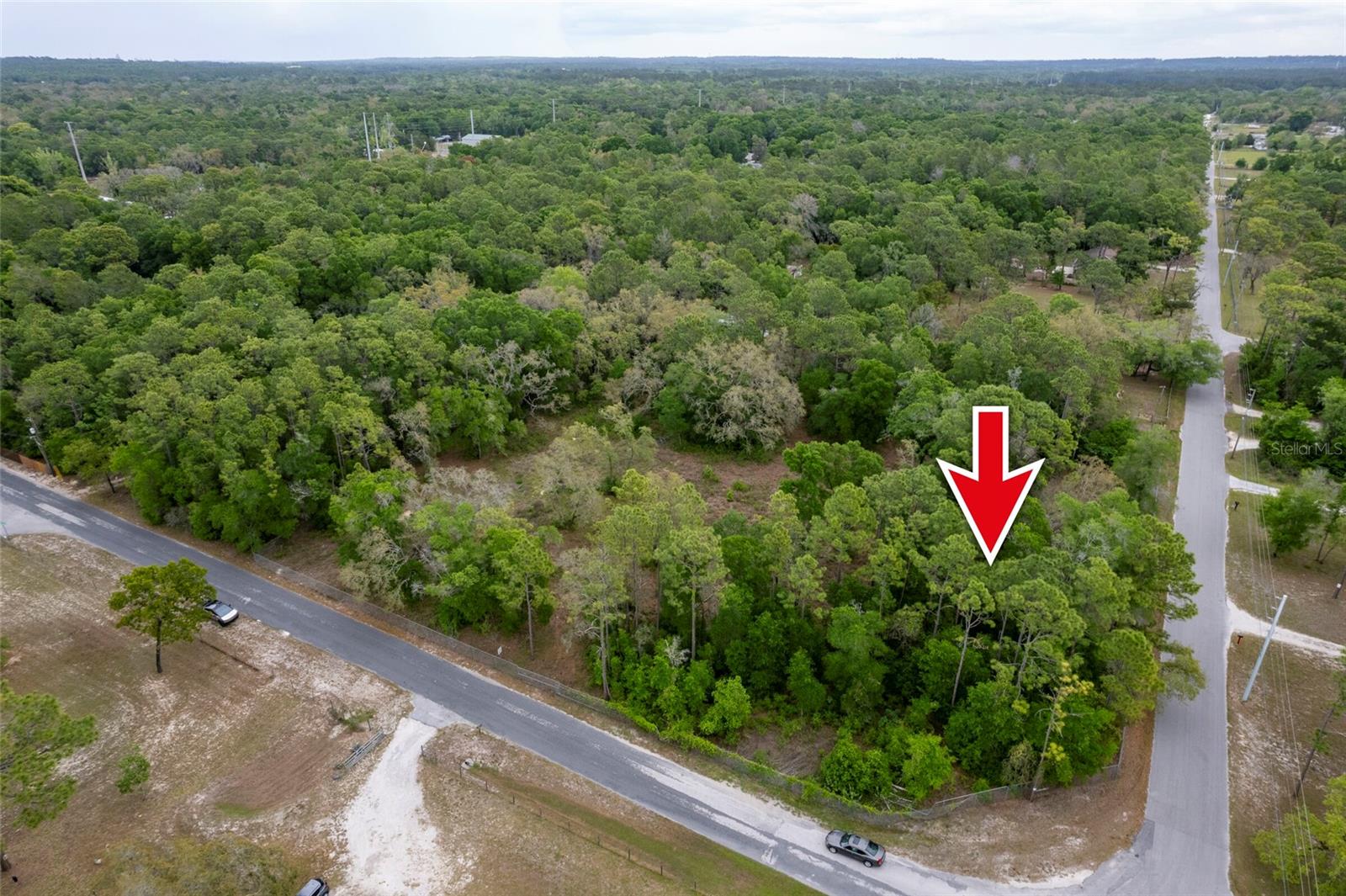 16021 FORZANDO AVE, BROOKSVILLE, FL, 34604