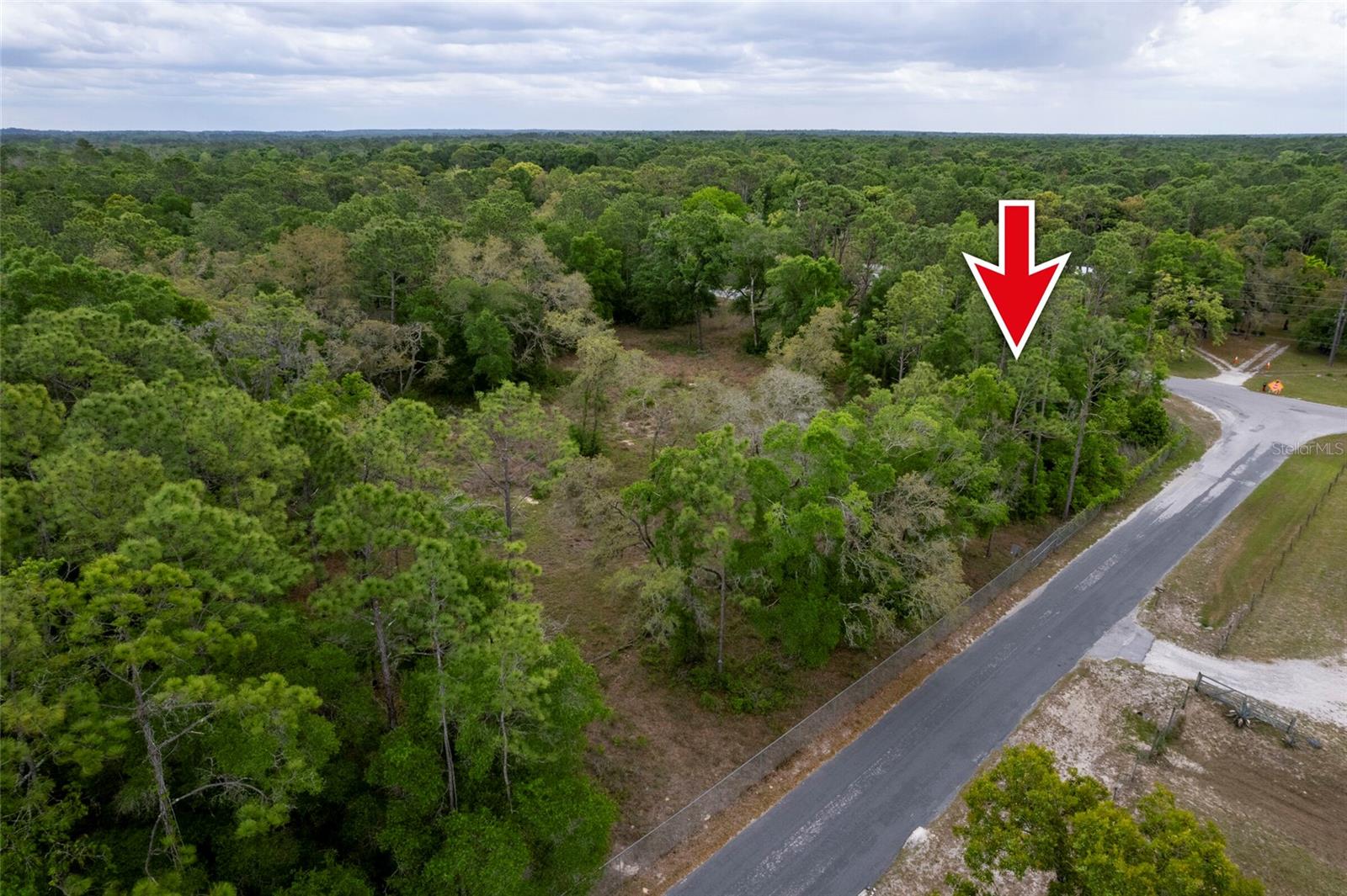 16021 FORZANDO AVE, BROOKSVILLE, FL, 34604