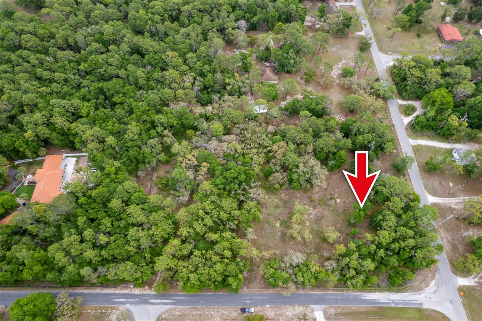 16021 FORZANDO AVE, BROOKSVILLE, FL, 34604