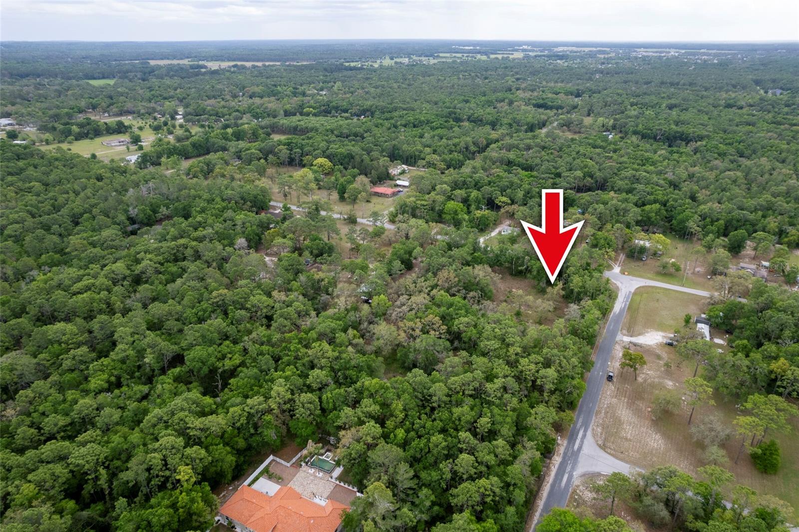 16021 FORZANDO AVE, BROOKSVILLE, FL, 34604