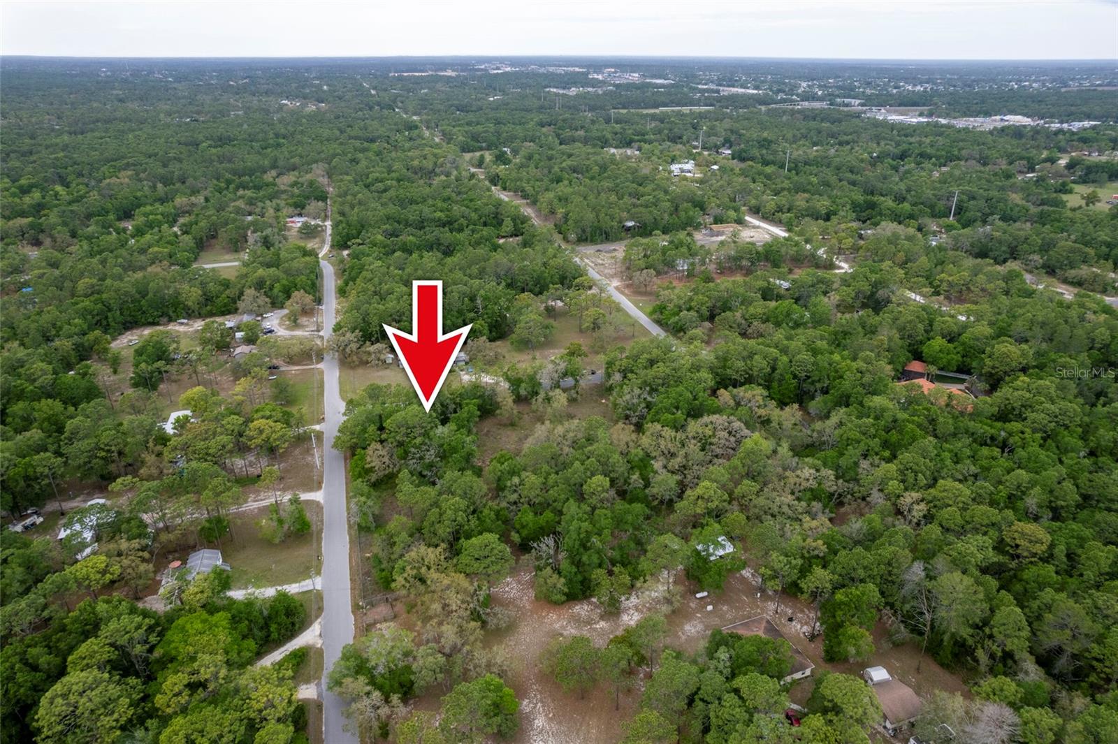 16021 FORZANDO AVE, BROOKSVILLE, FL, 34604