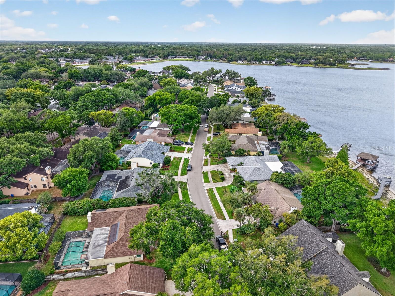 14013 SHADY SHORES DR, TAMPA, FL, 33613