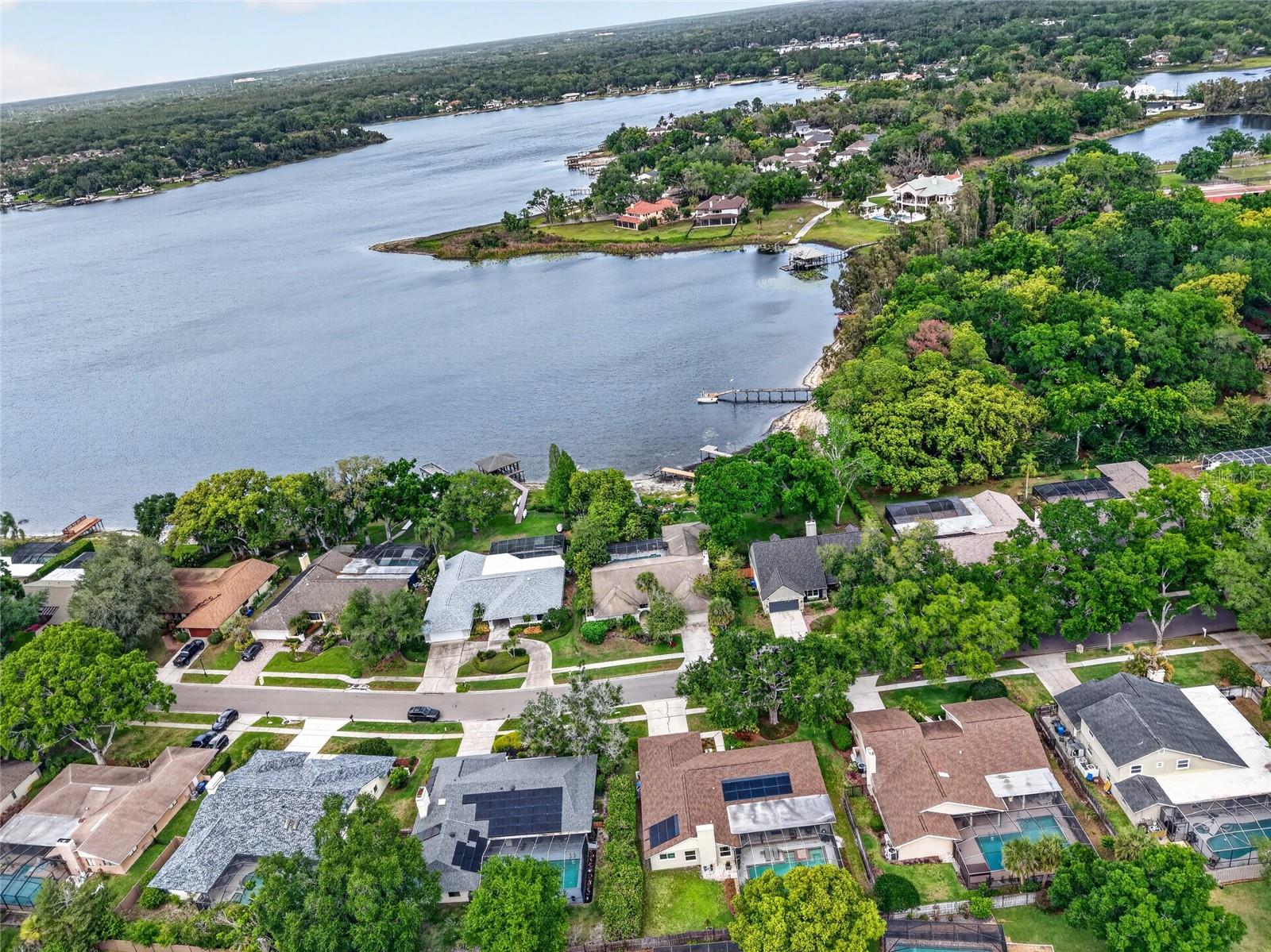 14013 SHADY SHORES DR, TAMPA, FL, 33613