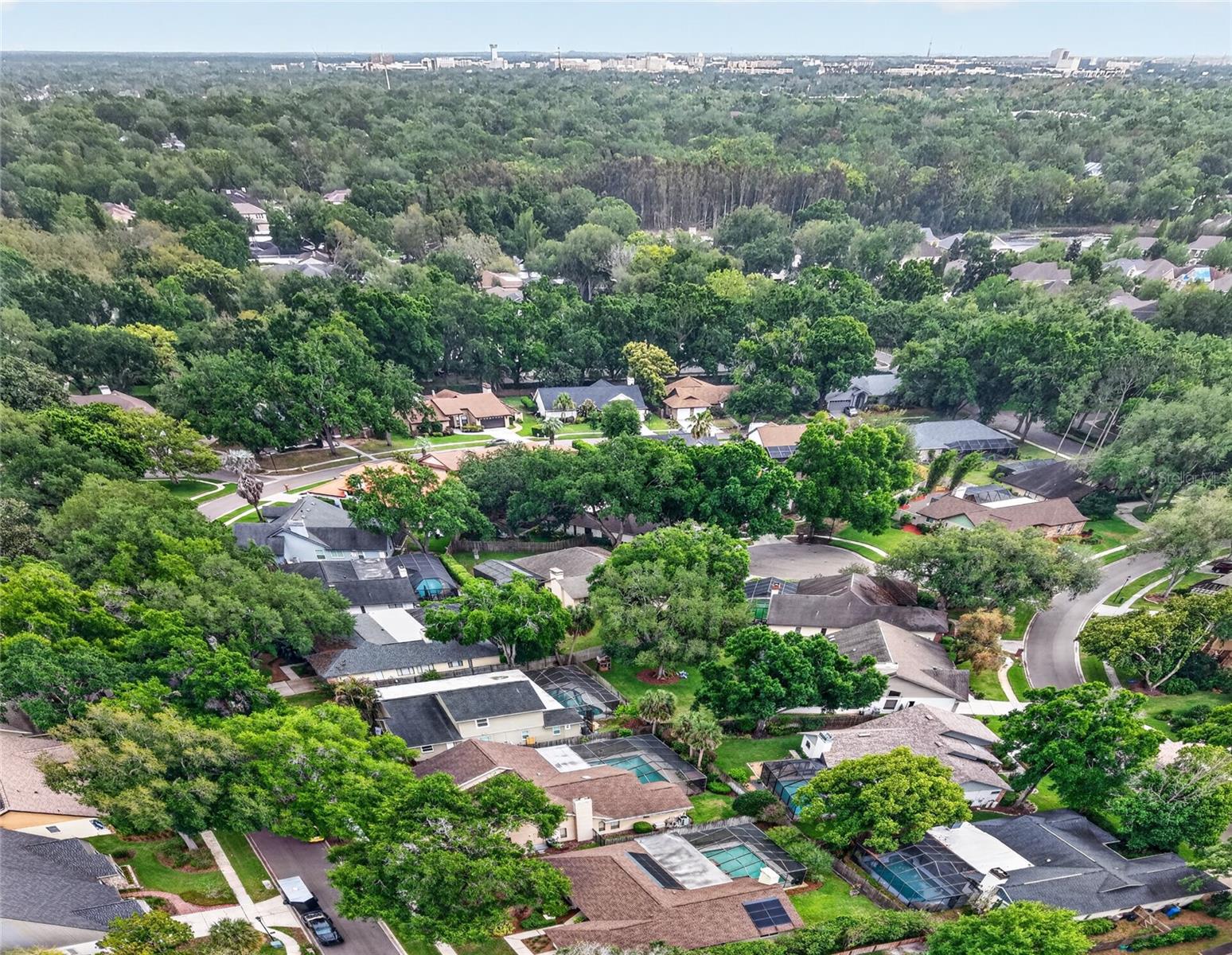 14013 SHADY SHORES DR, TAMPA, FL, 33613