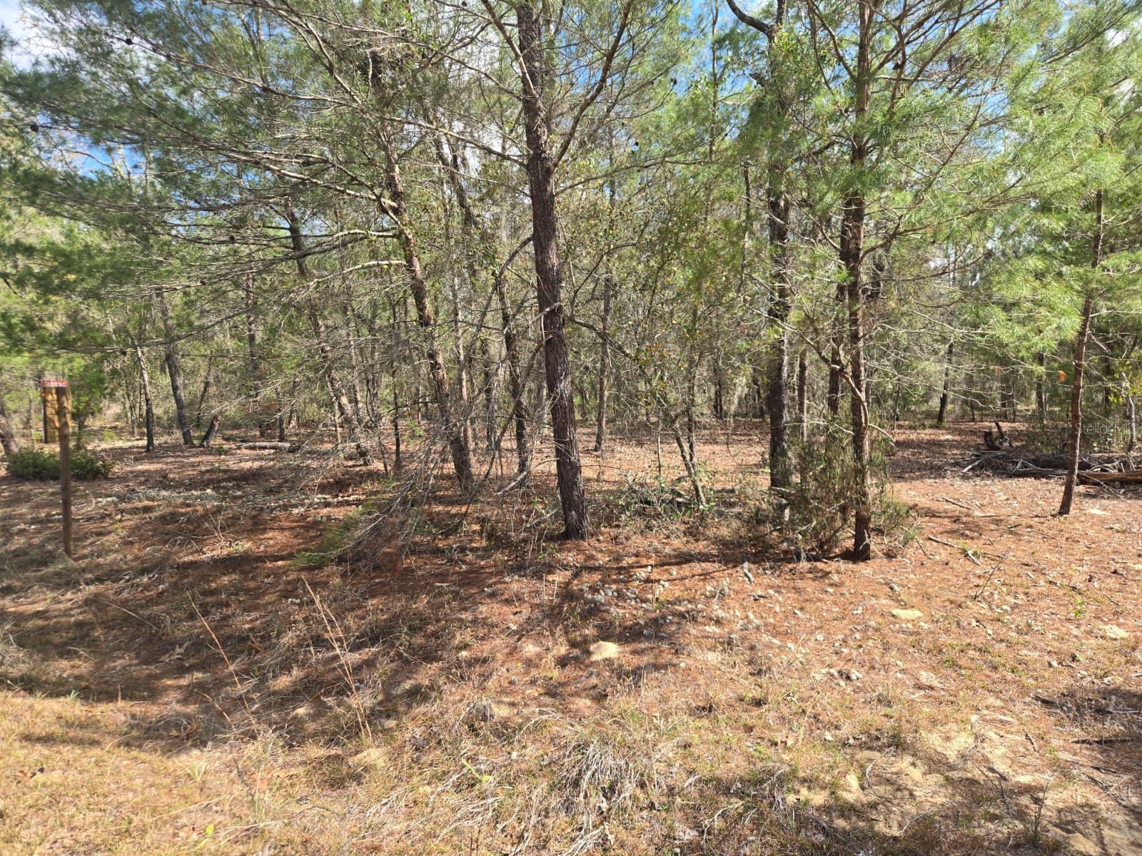206 WALES ST, INTERLACHEN, FL, 32148