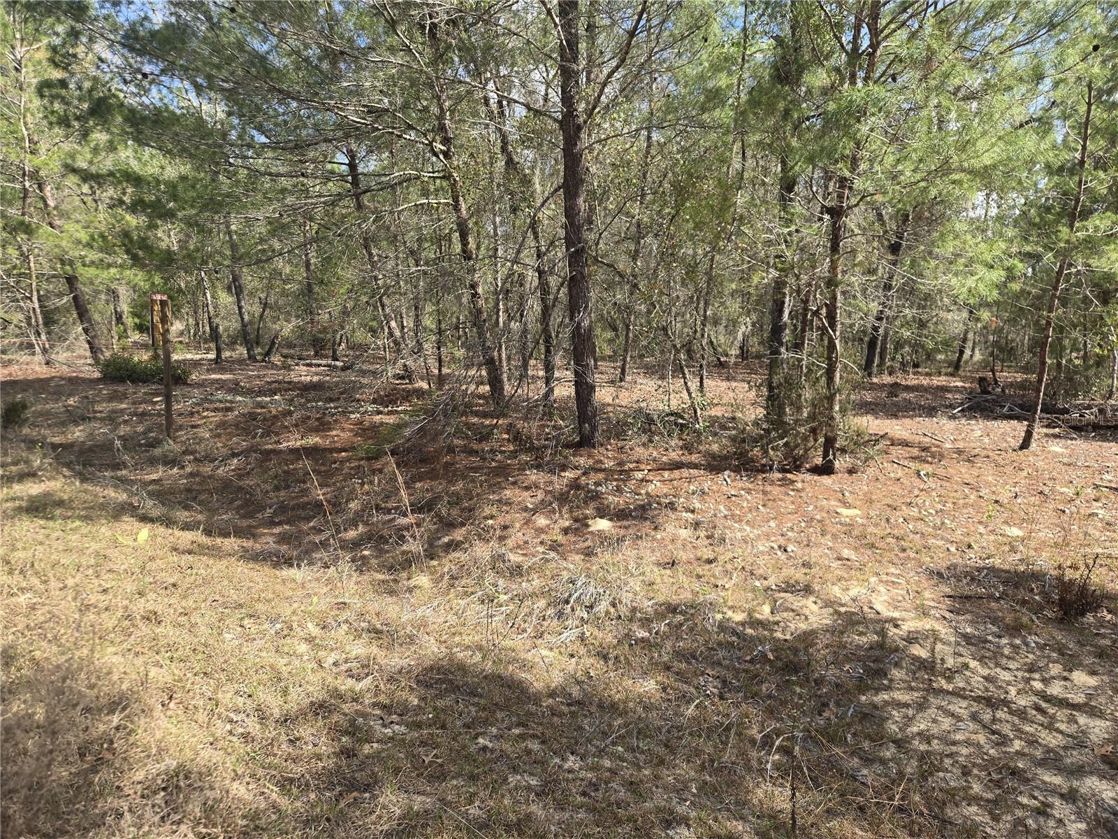 206 WALES ST, INTERLACHEN, FL, 32148