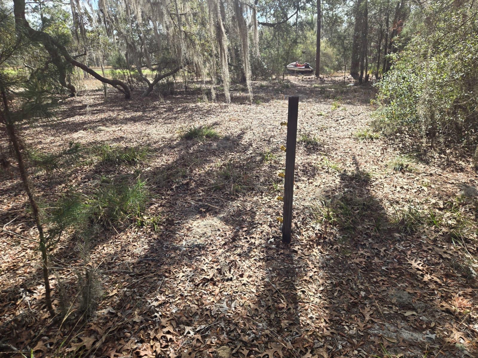 206 WALES ST, INTERLACHEN, FL, 32148