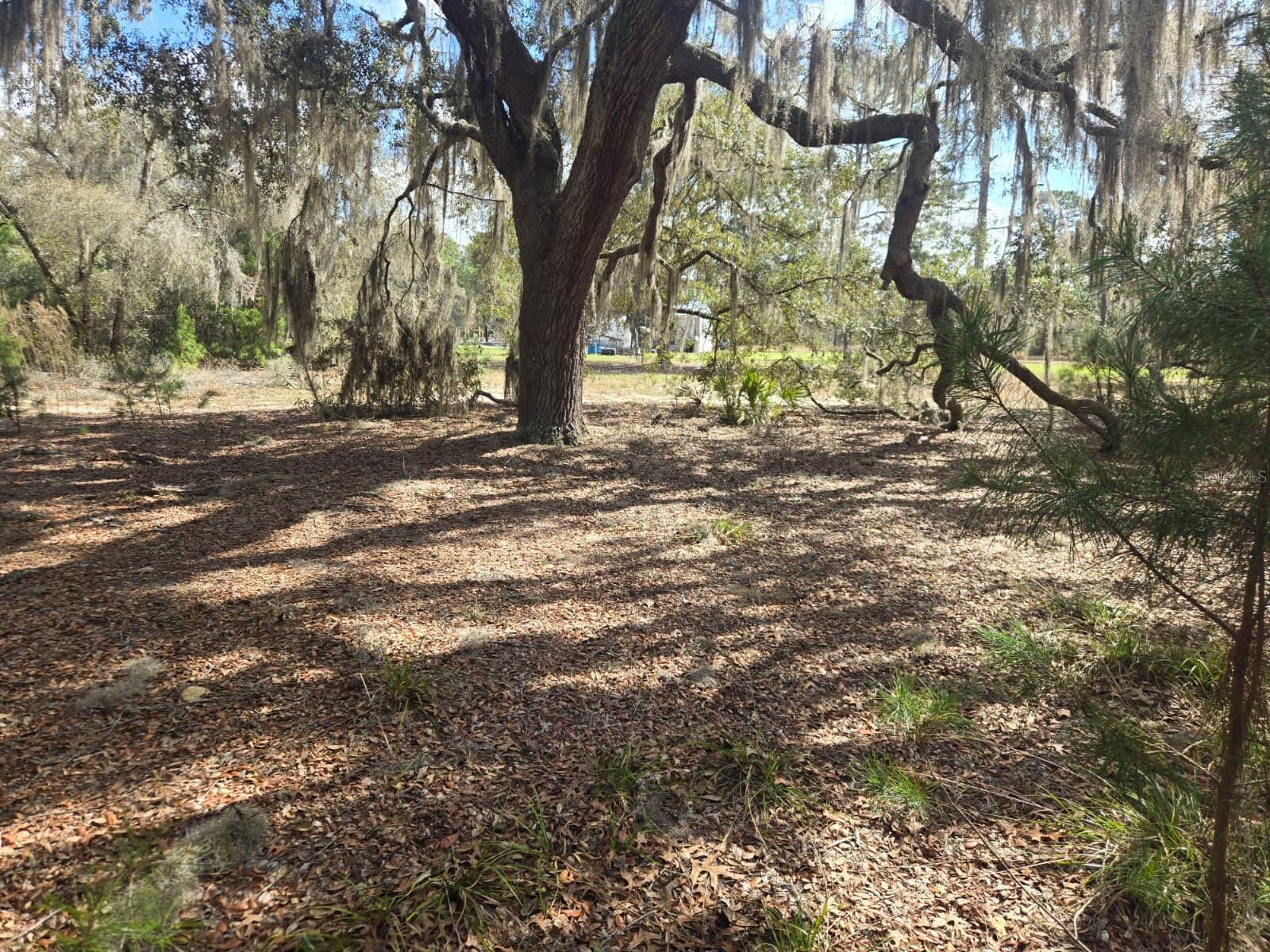 206 WALES ST, INTERLACHEN, FL, 32148