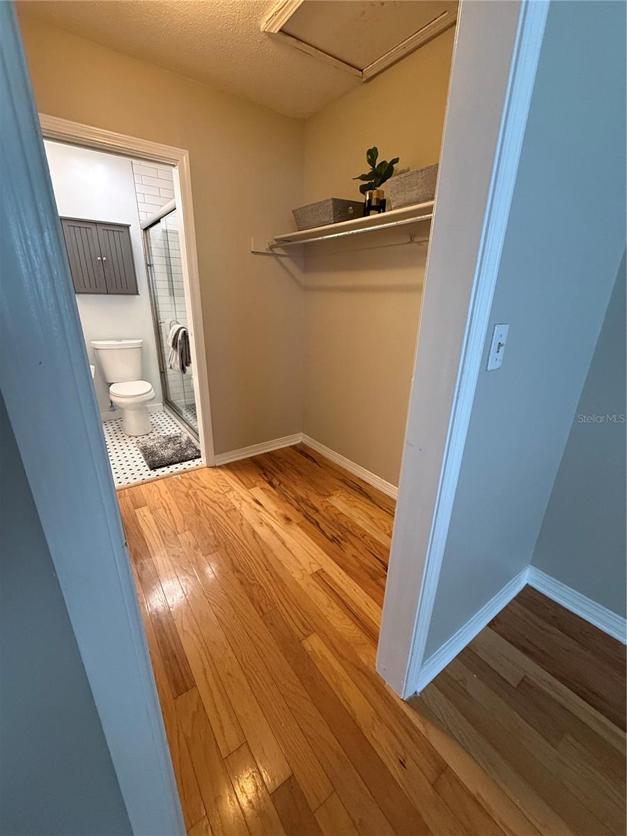 6919 PLACE DE LA PAIX #6919, ST PETERSBURG, FL, 33707