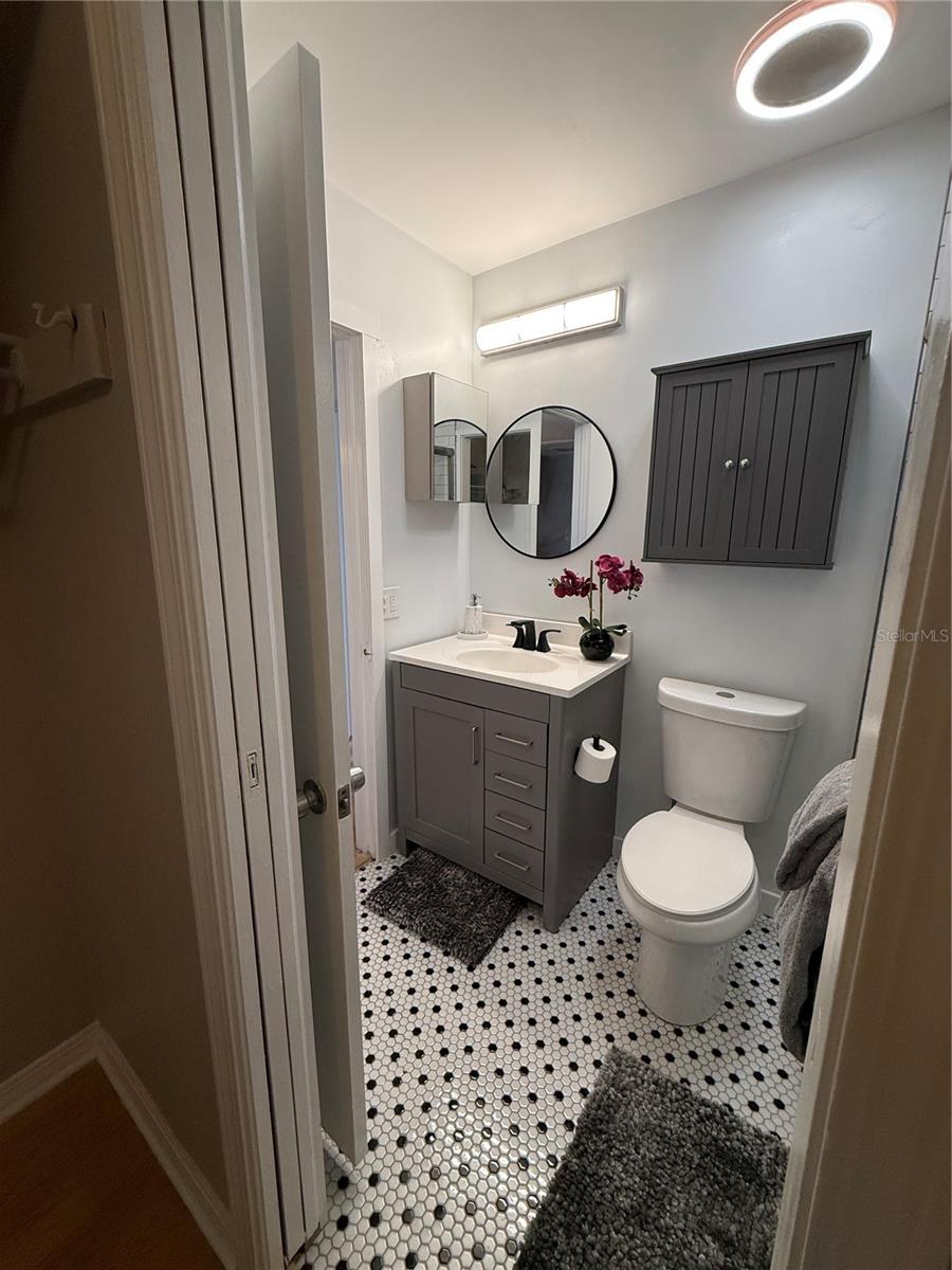 6919 PLACE DE LA PAIX #6919, ST PETERSBURG, FL, 33707