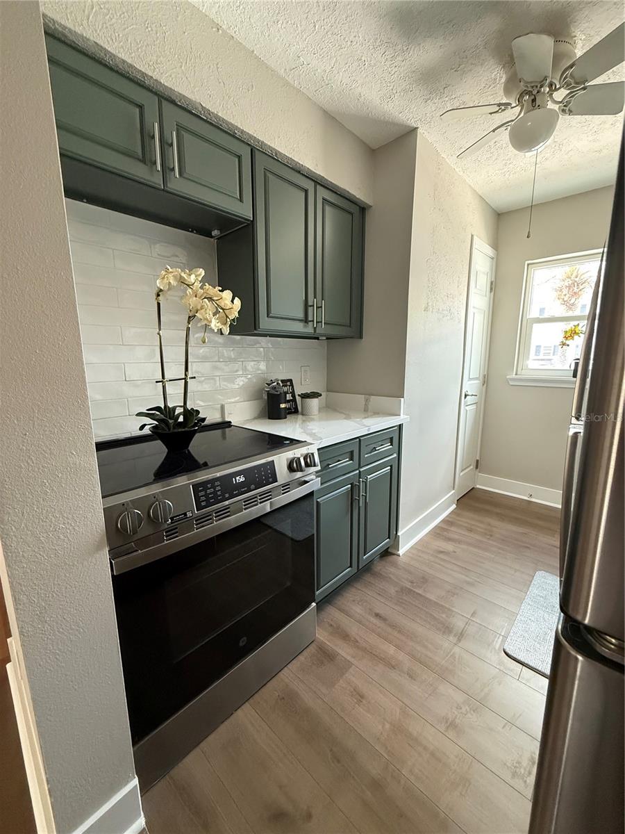 6919 PLACE DE LA PAIX #6919, ST PETERSBURG, FL, 33707