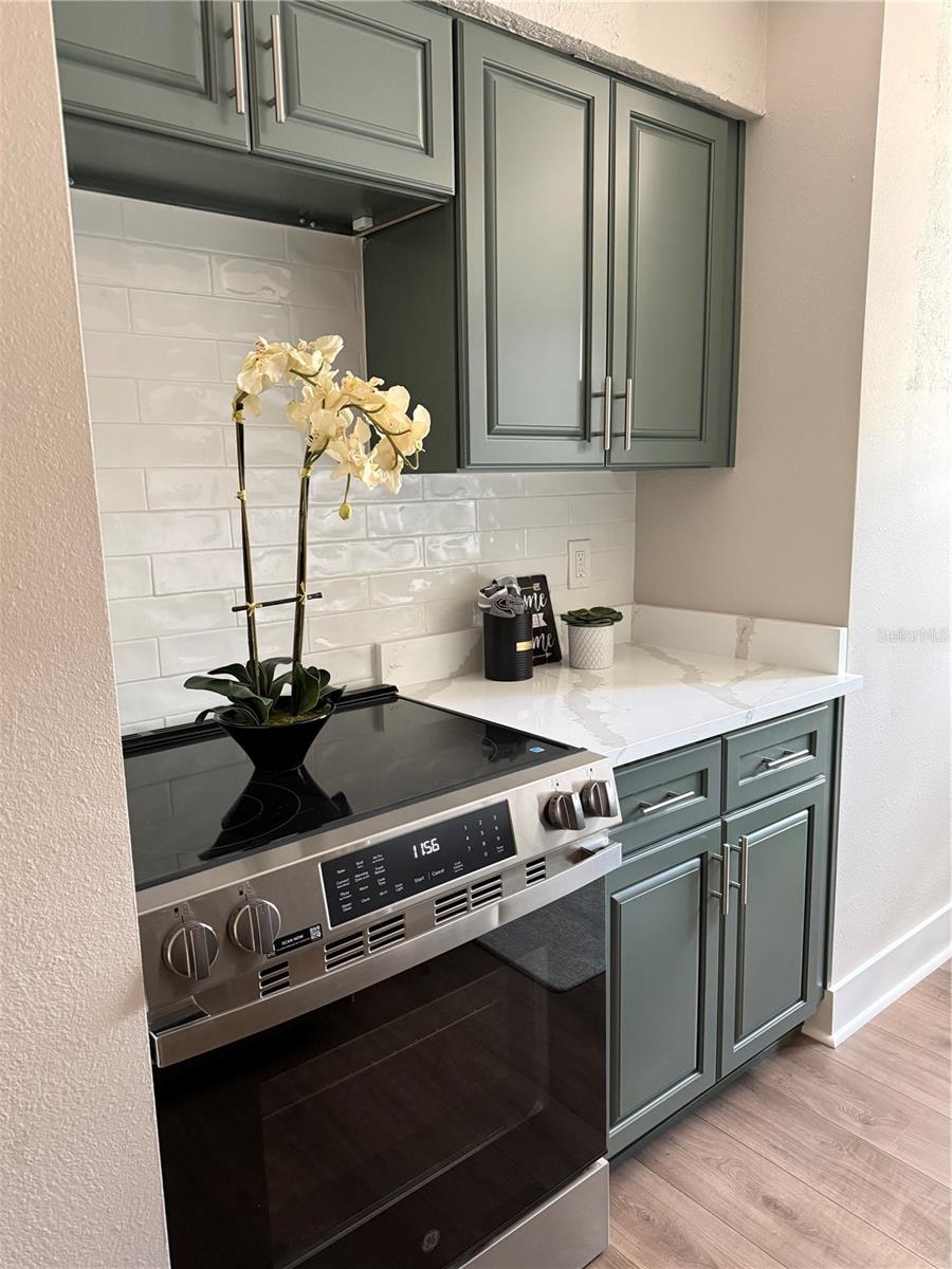 6919 PLACE DE LA PAIX #6919, ST PETERSBURG, FL, 33707