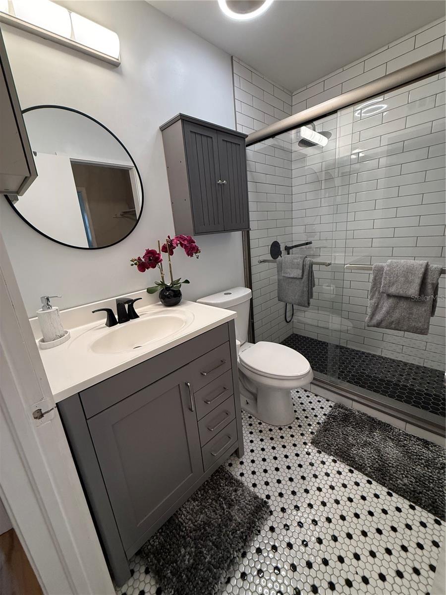 6919 PLACE DE LA PAIX #6919, ST PETERSBURG, FL, 33707