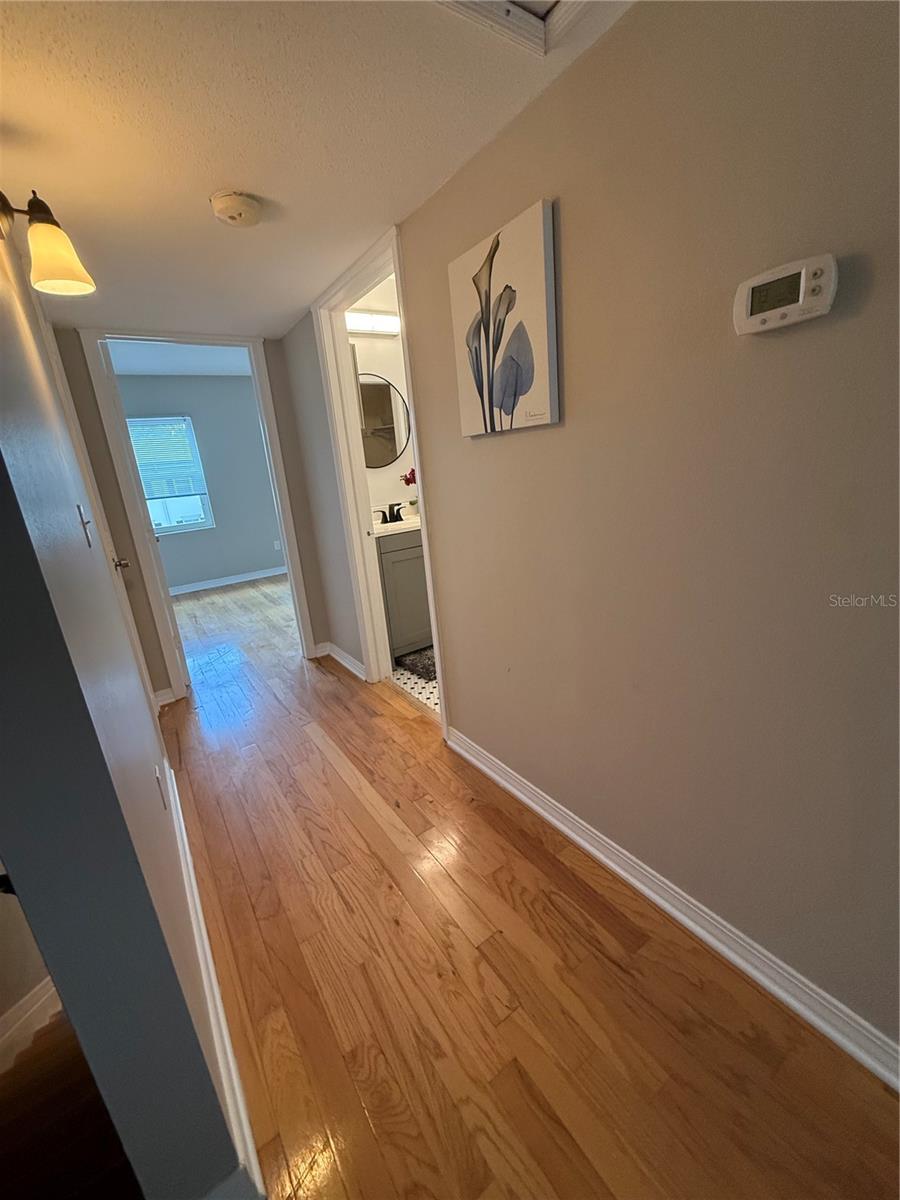 6919 PLACE DE LA PAIX #6919, ST PETERSBURG, FL, 33707