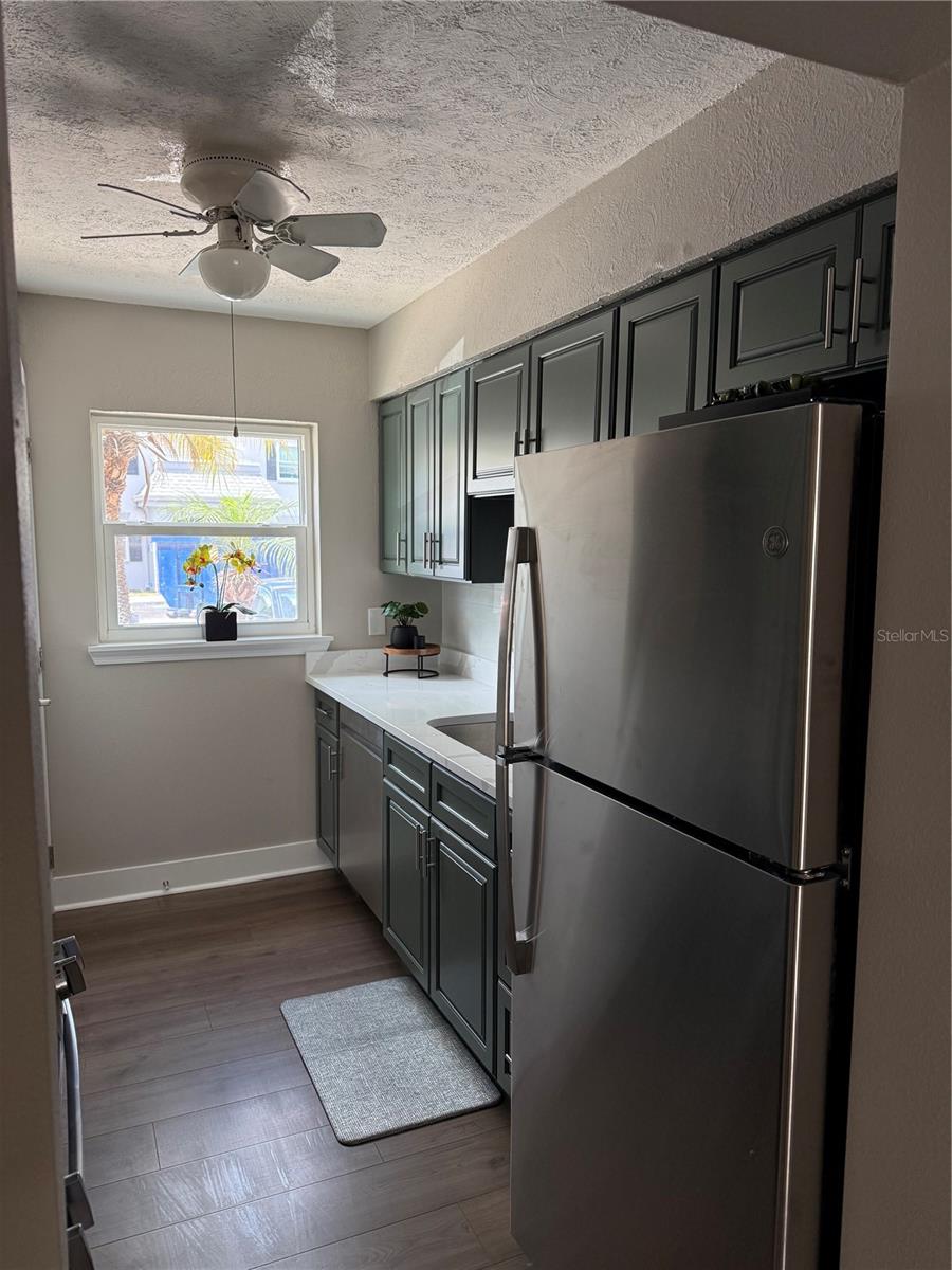 6919 PLACE DE LA PAIX #6919, ST PETERSBURG, FL, 33707