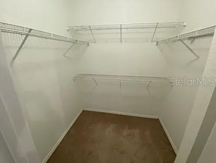 13023 SANCTUARY COVE DR #301, TEMPLE TERRACE, FL, 33637