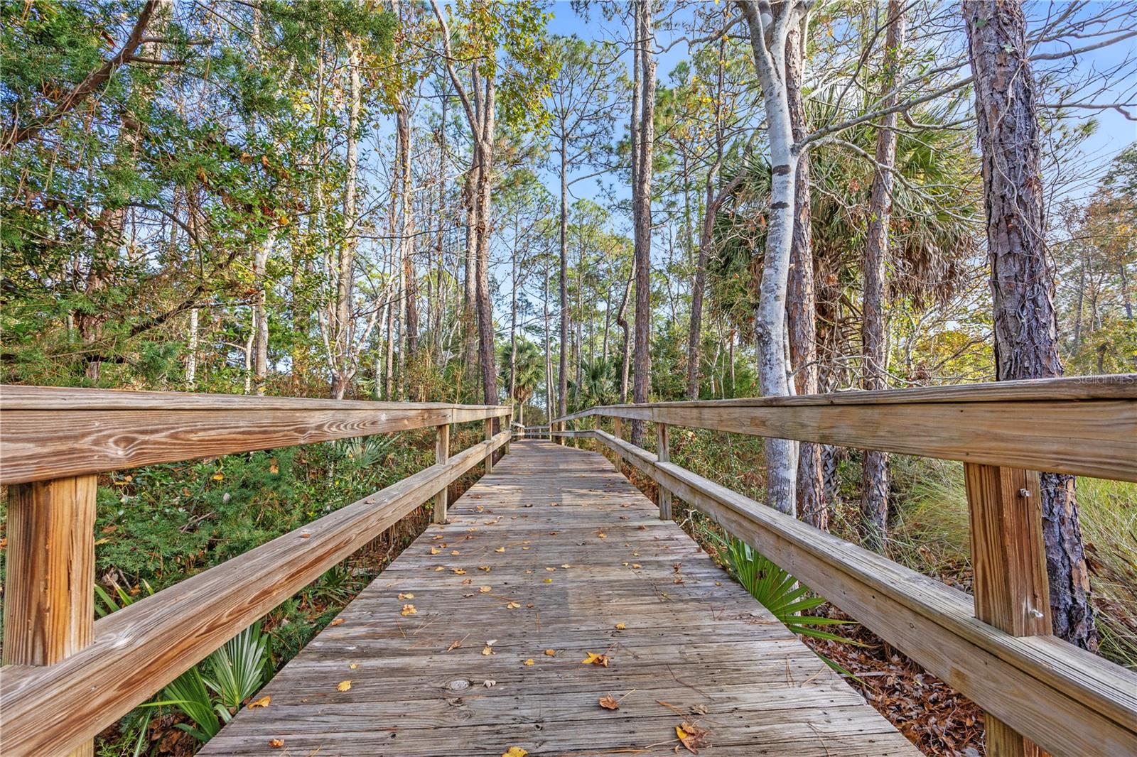 68 PARKFRONT LN, ST AUGUSTINE, FL, 32095