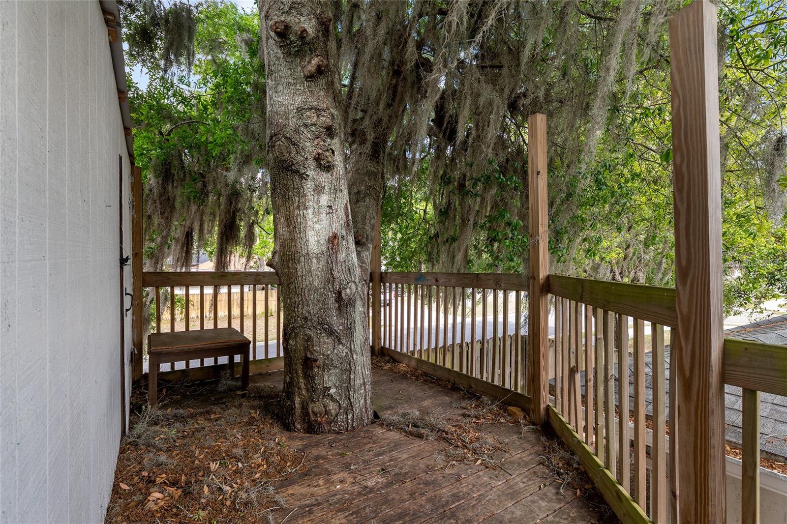 25175 SW 20TH AVE, NEWBERRY, FL, 32669