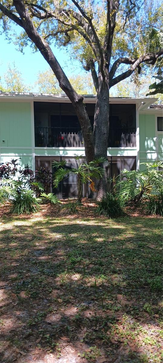 3295 FOX CHASE #105, PALM HARBOR, FL, 34683