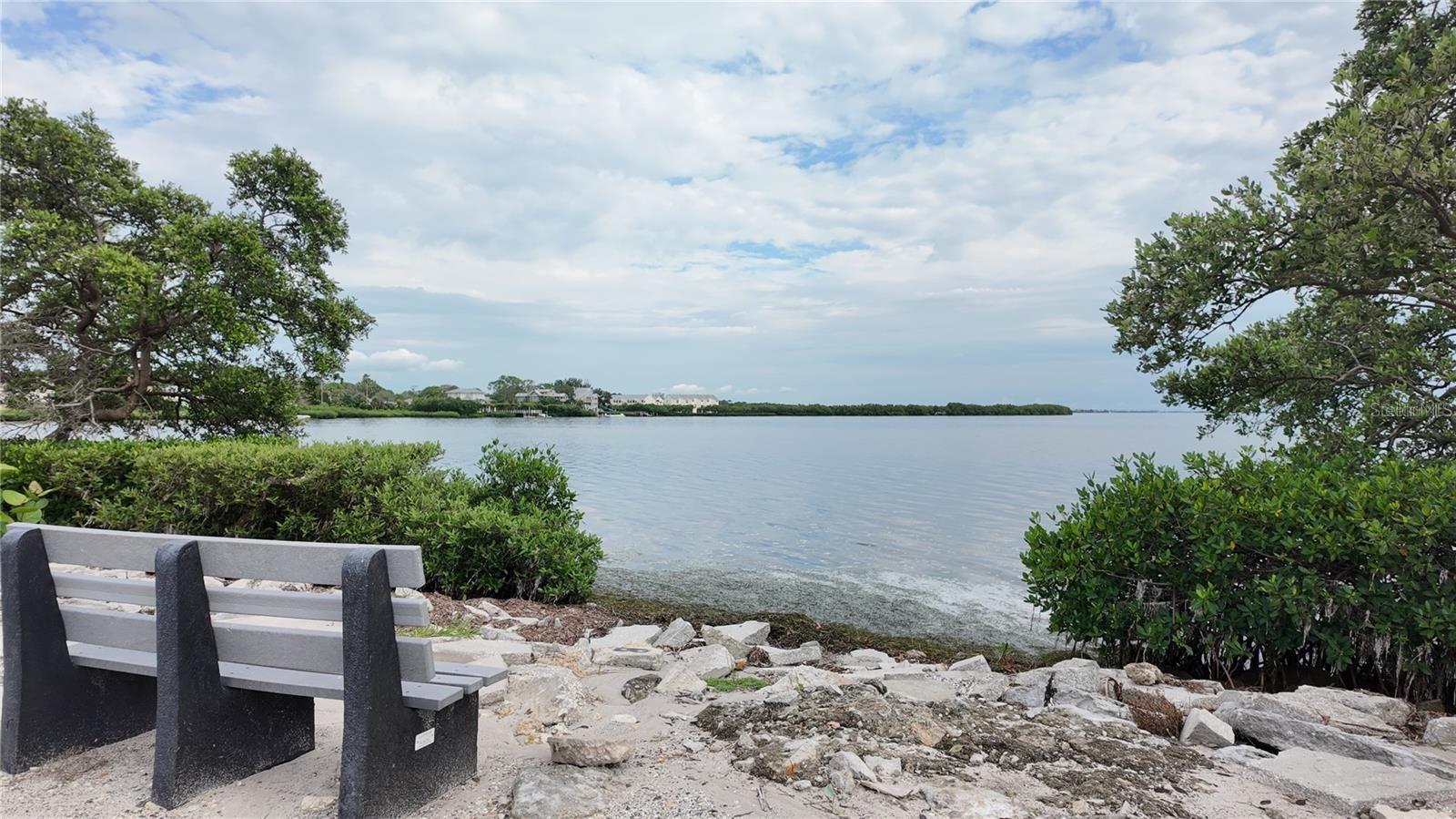 3295 FOX CHASE #105, PALM HARBOR, FL, 34683