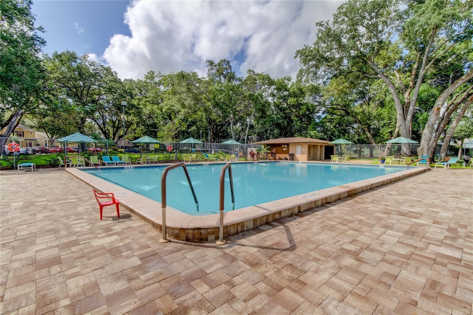 3295 FOX CHASE #105, PALM HARBOR, FL, 34683