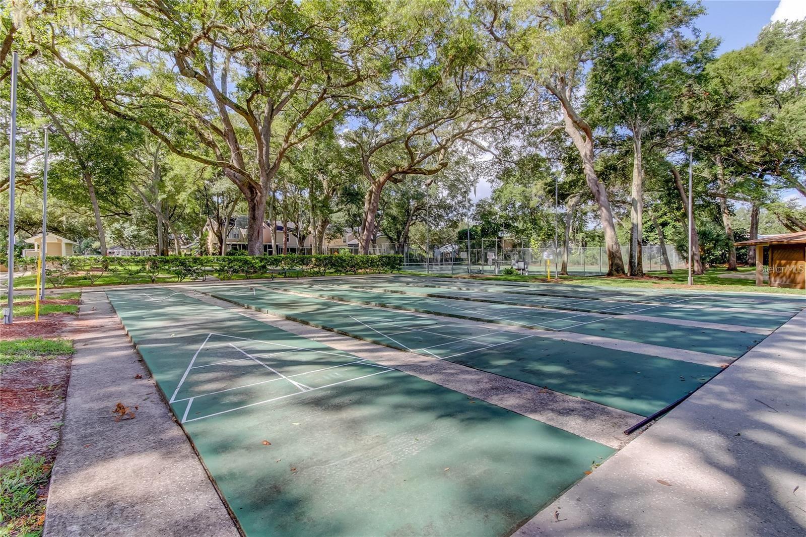 3295 FOX CHASE #105, PALM HARBOR, FL, 34683