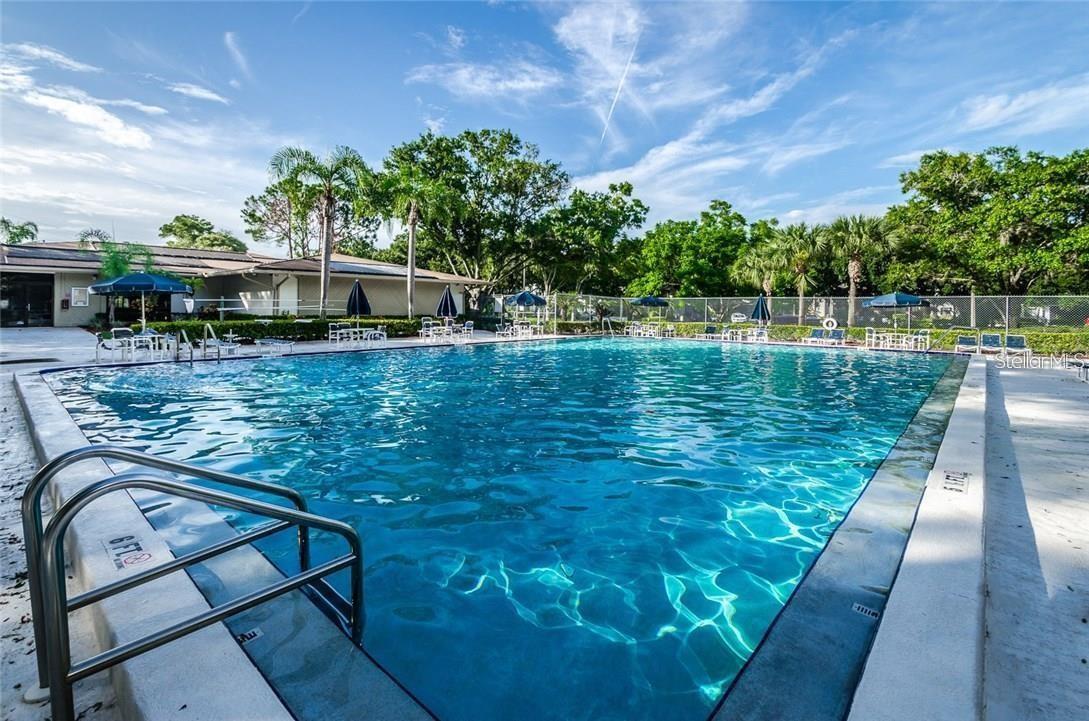 3295 FOX CHASE #105, PALM HARBOR, FL, 34683
