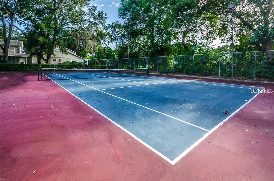 3295 FOX CHASE #105, PALM HARBOR, FL, 34683