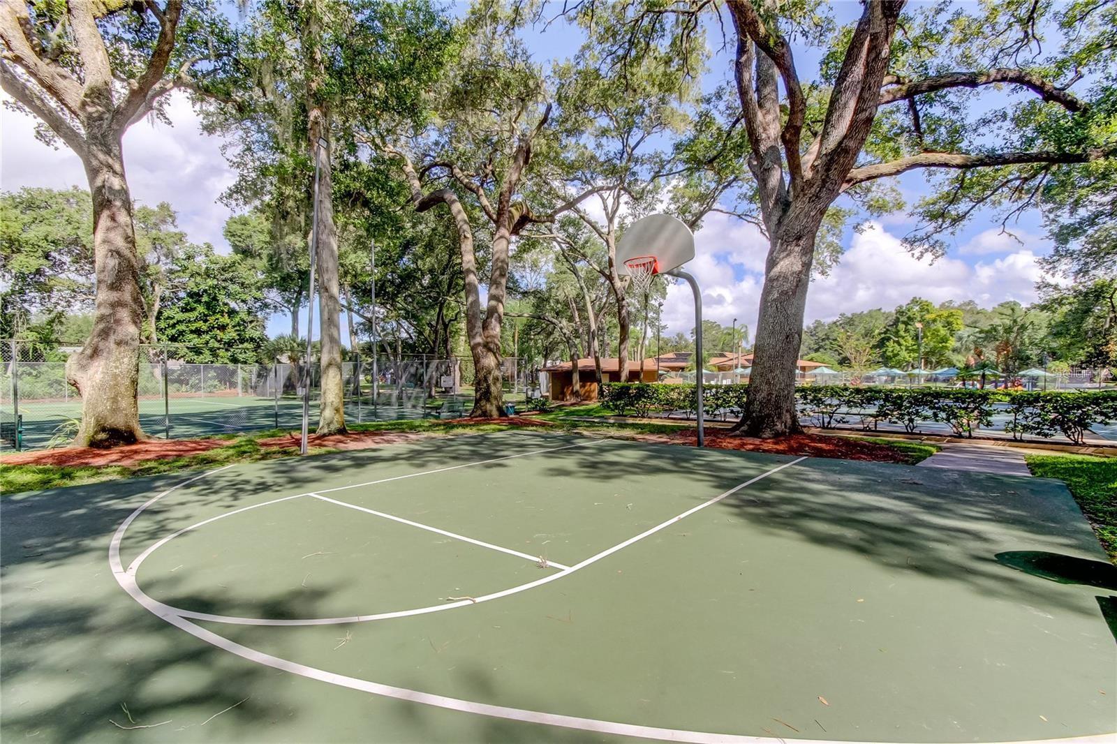 3295 FOX CHASE #105, PALM HARBOR, FL, 34683