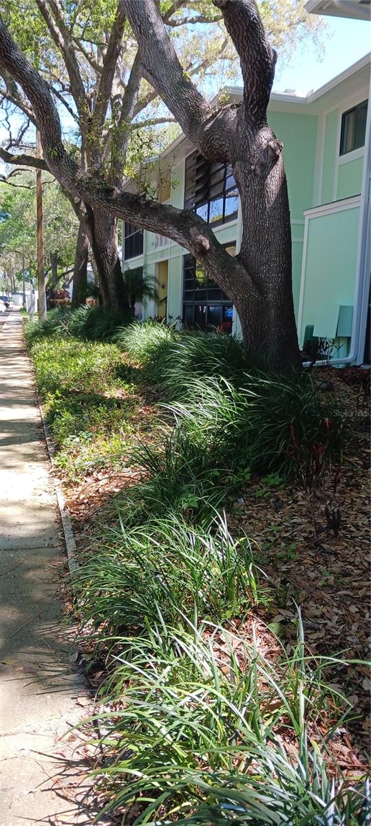 3295 FOX CHASE #105, PALM HARBOR, FL, 34683