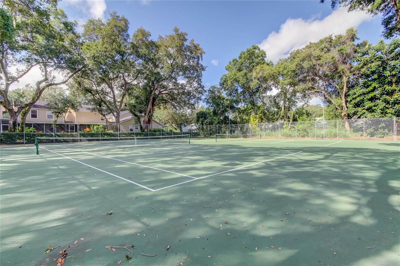 3295 FOX CHASE #105, PALM HARBOR, FL, 34683