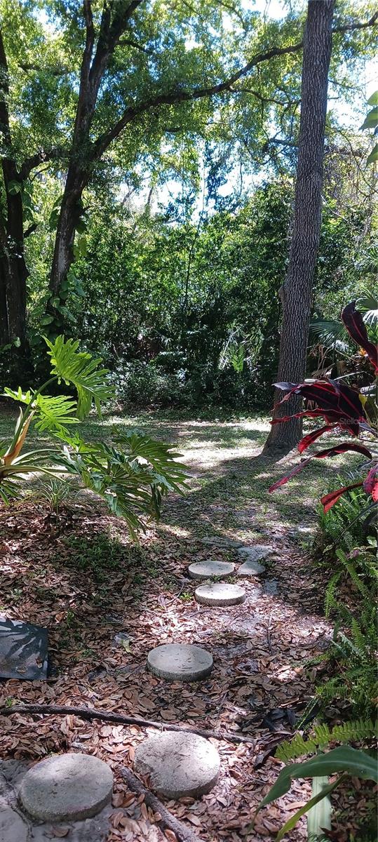 3295 FOX CHASE #105, PALM HARBOR, FL, 34683