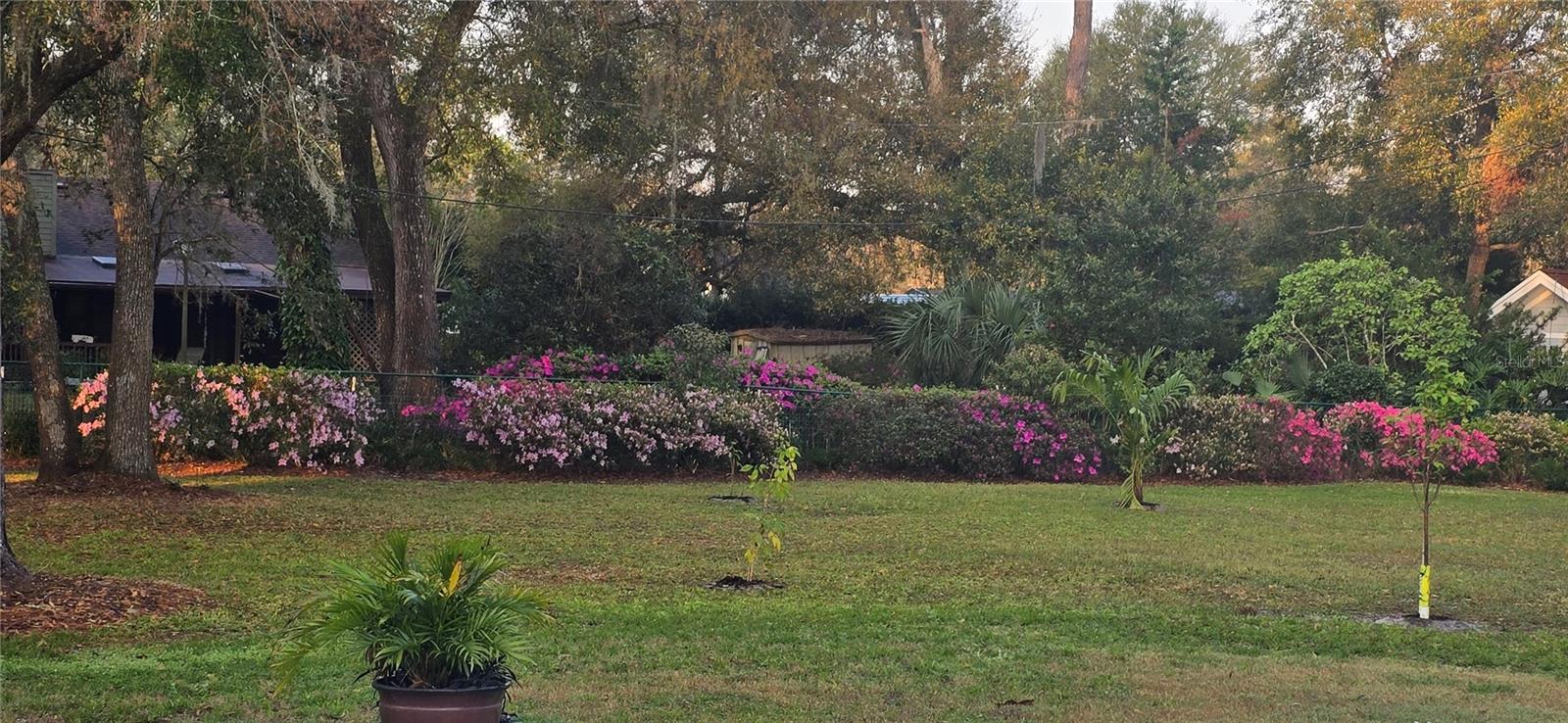 805 BAY TREE CIR, DELAND, FL, 32724
