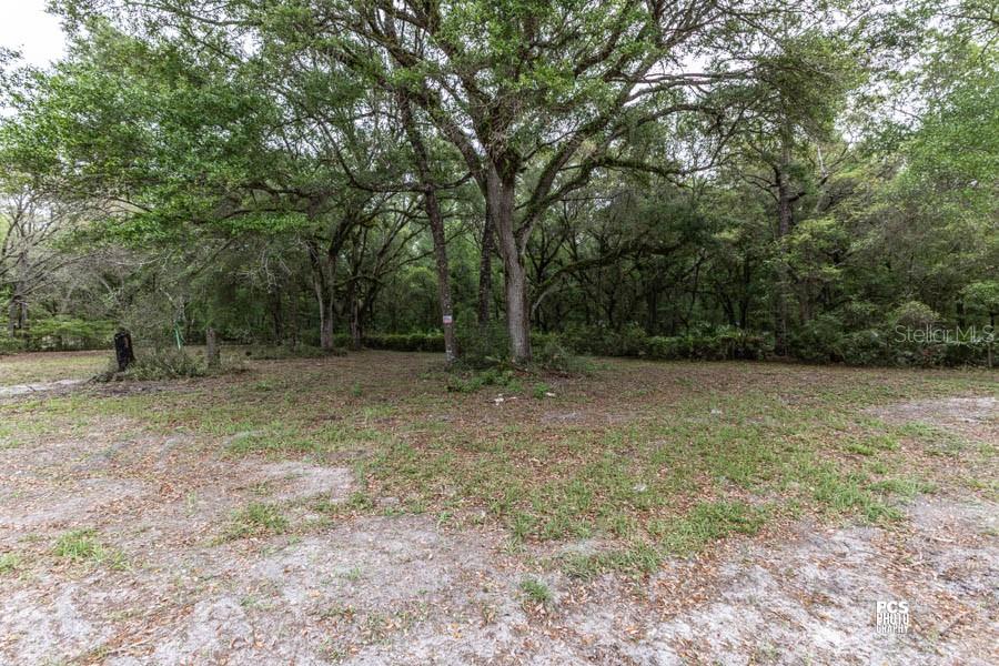 9219 SW 151ST PL, DUNNELLON, FL, 34432