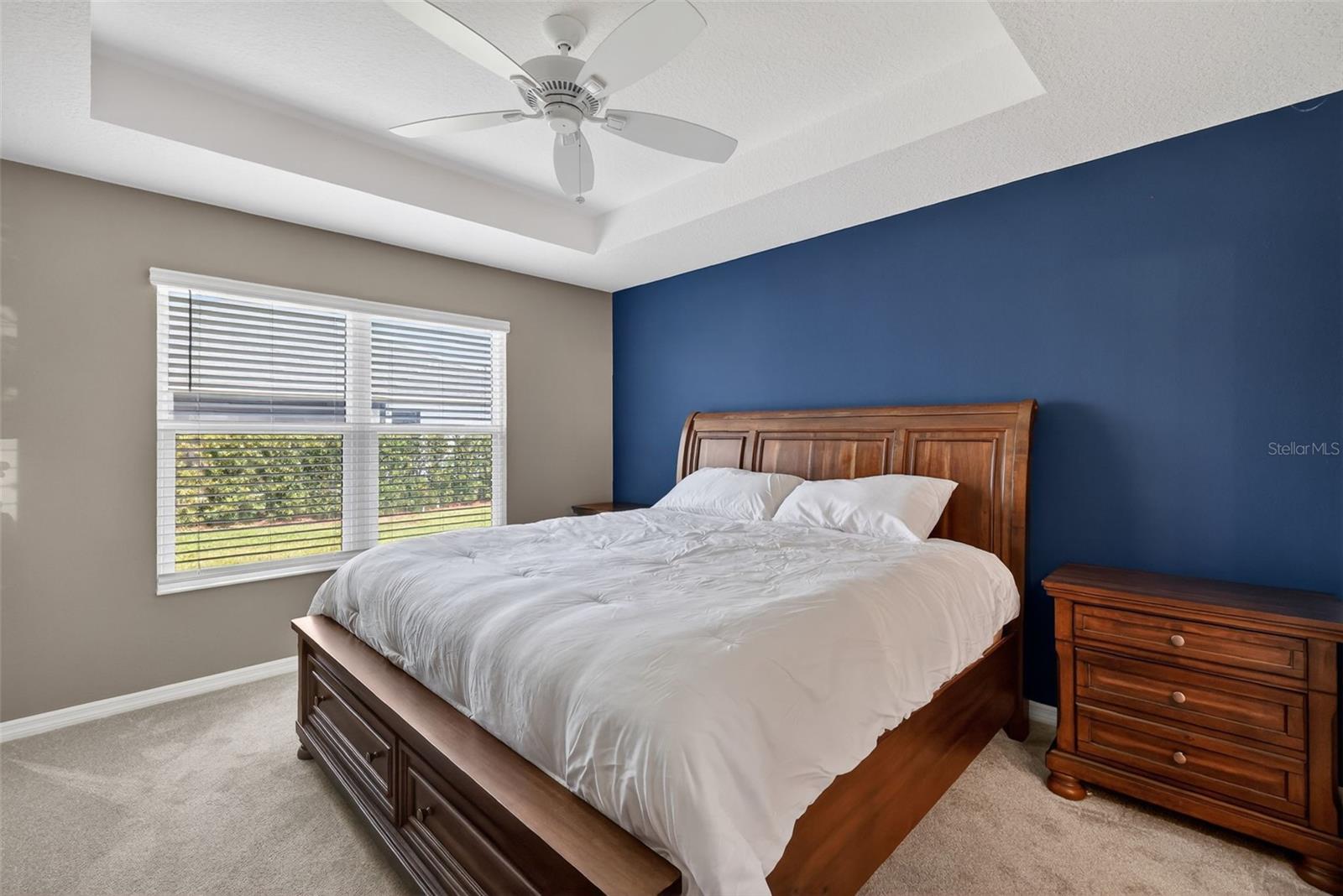 2493 LIGHTBODY LN, THE VILLAGES, FL, 32163