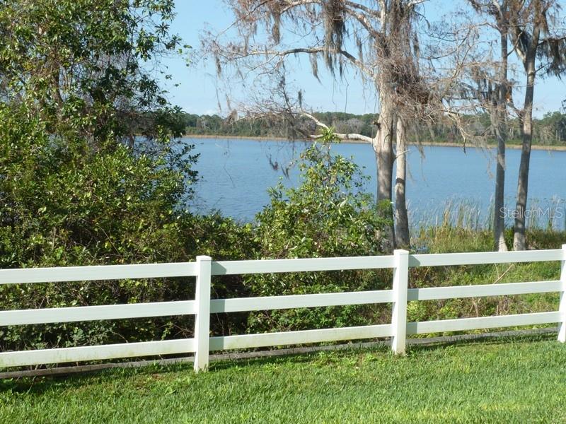 10214 FALLSGROVE ST, ORLANDO, FL, 32836