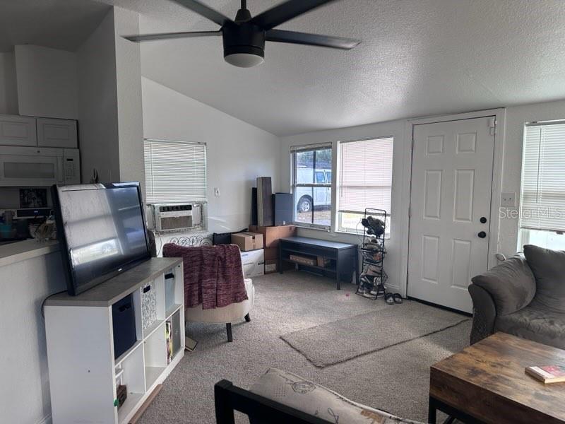 10030 INGRAM AVE, APOPKA, FL, 32703