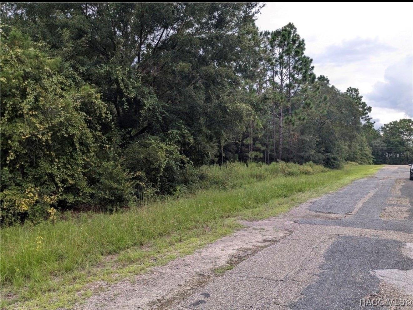 9360 N DALLAS WAY, CITRUS SPRINGS, FL, 34434