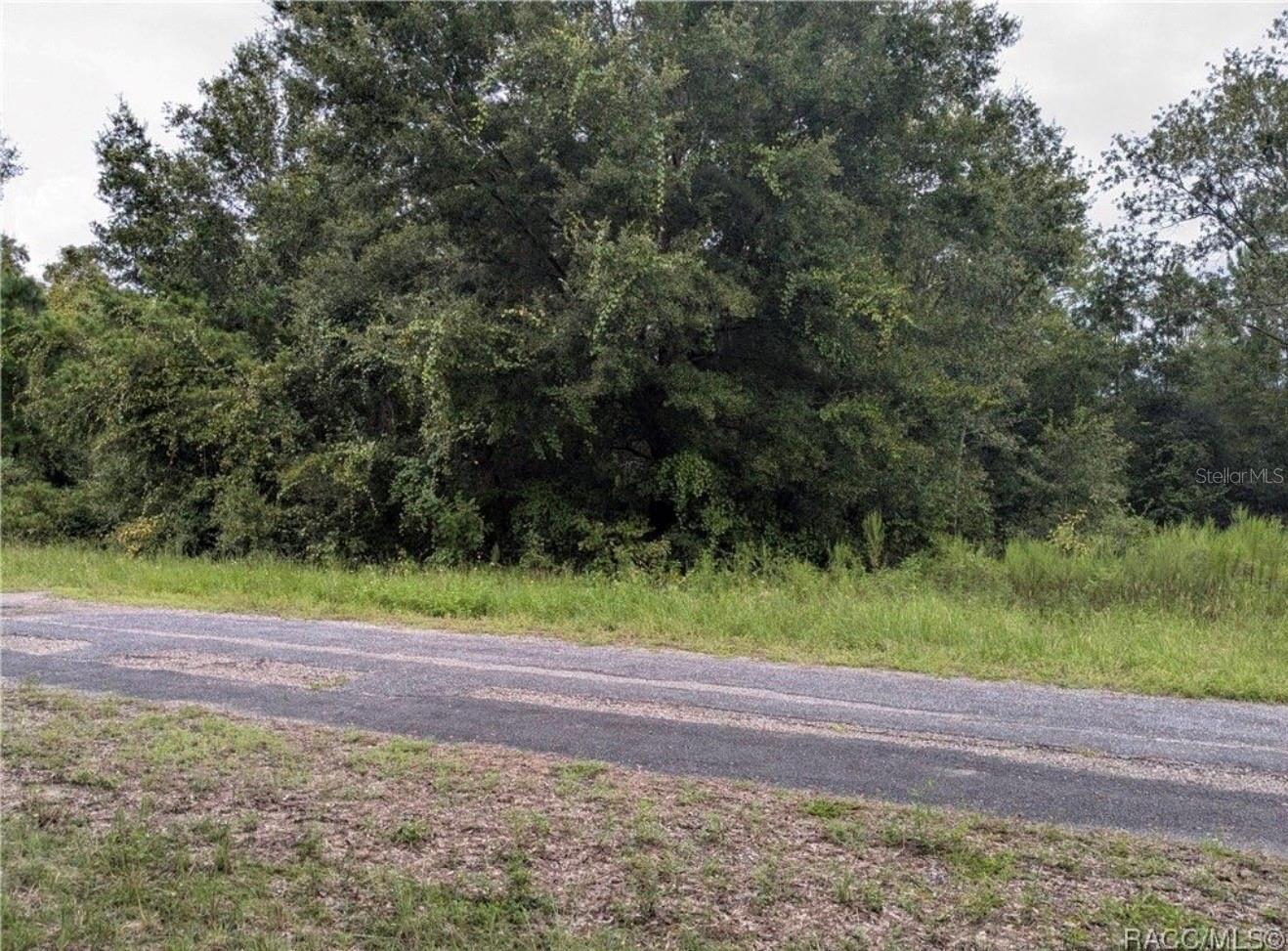 9360 N DALLAS WAY, CITRUS SPRINGS, FL, 34434