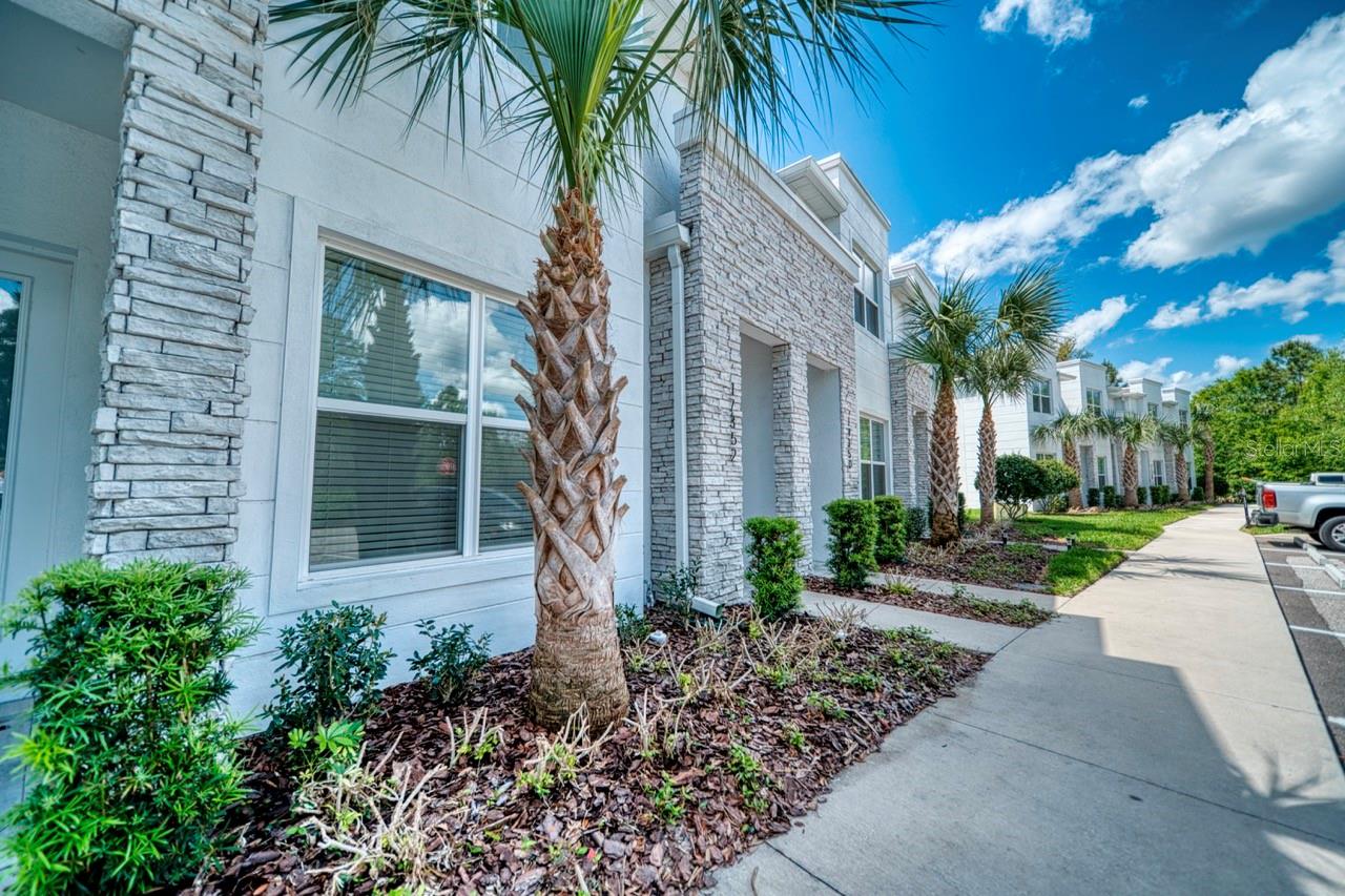 17352 BLESSING DR, CLERMONT, FL, 34714