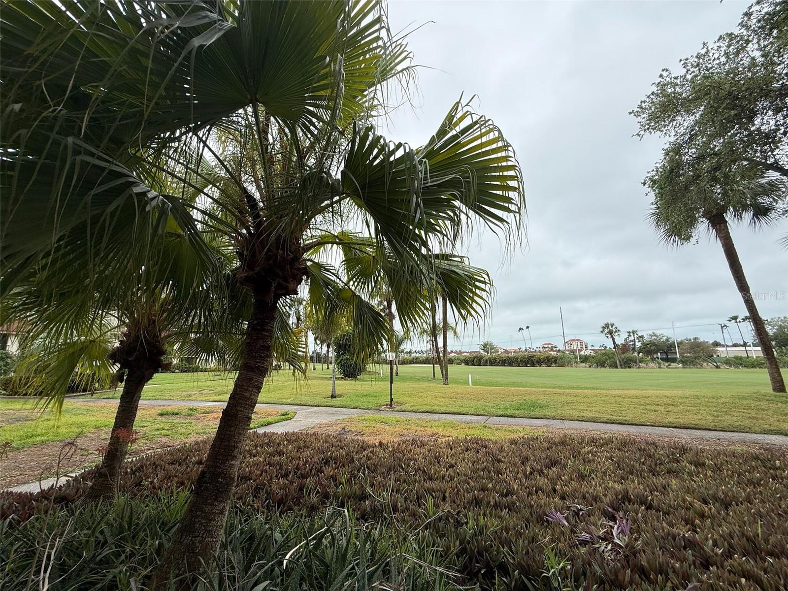 6219 PALMA DEL MAR BLVD S #105, ST PETERSBURG, FL, 33715