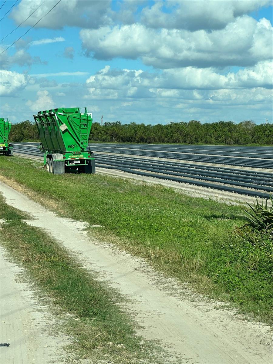 6150 PRINGLE LN, IMMOKALEE, FL, 34142