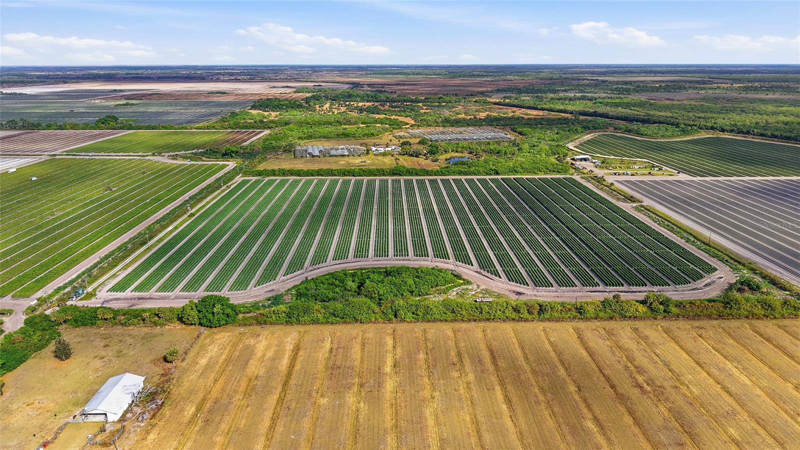 6150 PRINGLE LN, IMMOKALEE, FL, 34142