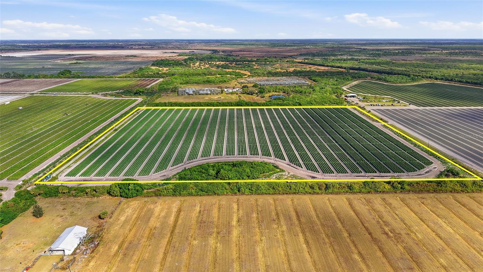 6150 PRINGLE LN, IMMOKALEE, FL, 34142