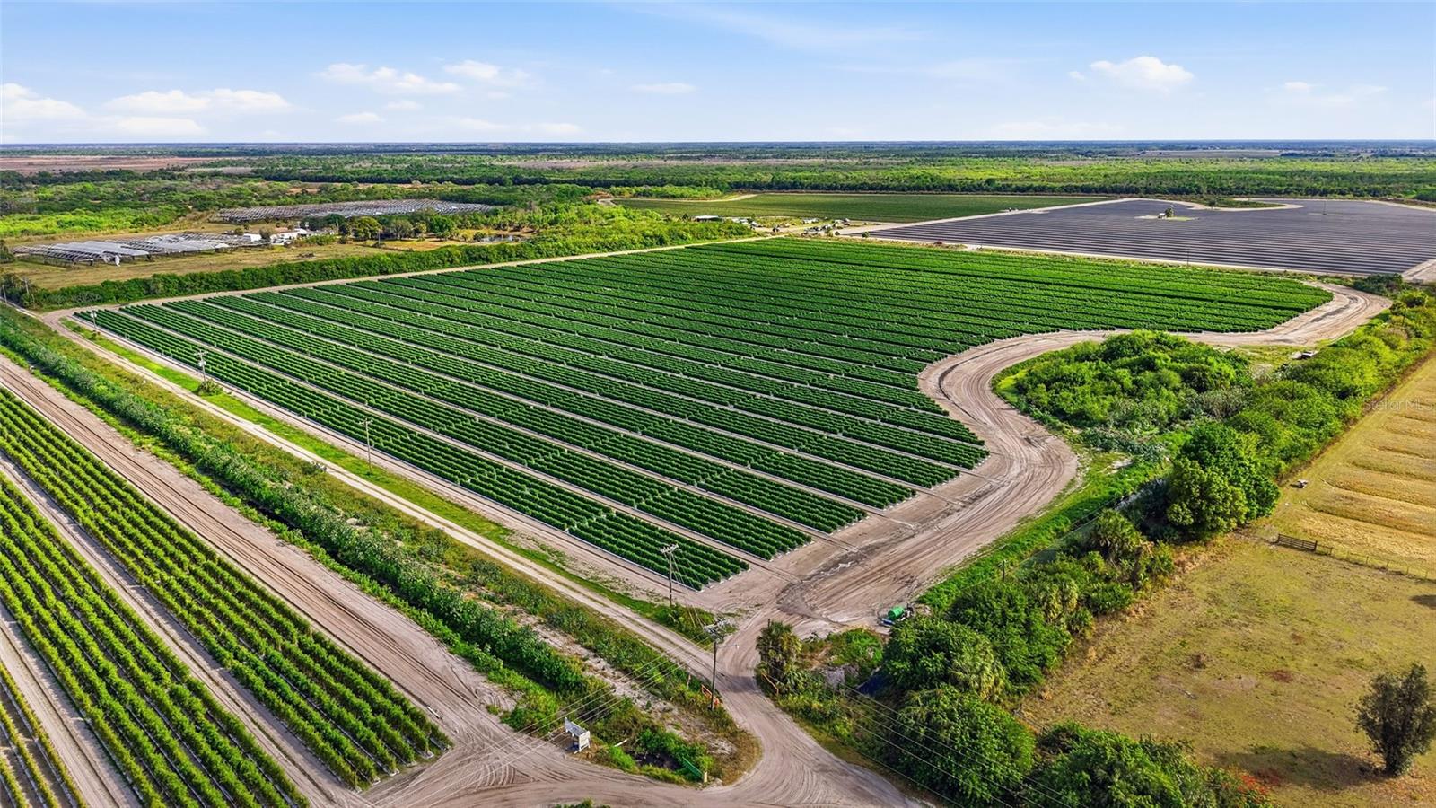 6150 PRINGLE LN, IMMOKALEE, FL, 34142