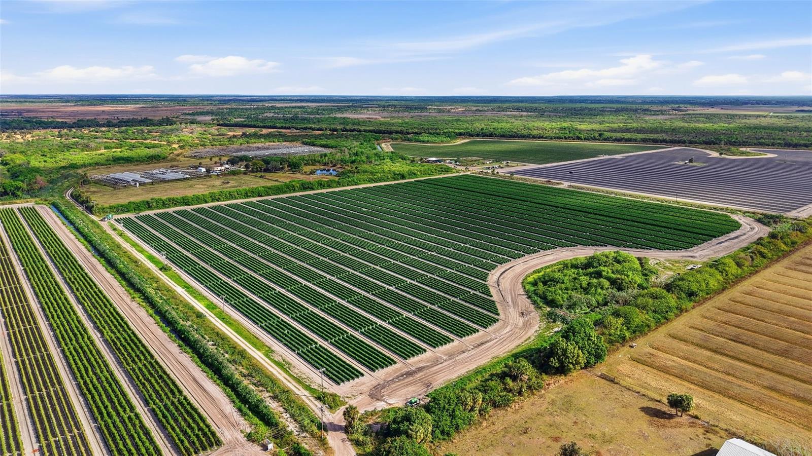 6150 PRINGLE LN, IMMOKALEE, FL, 34142