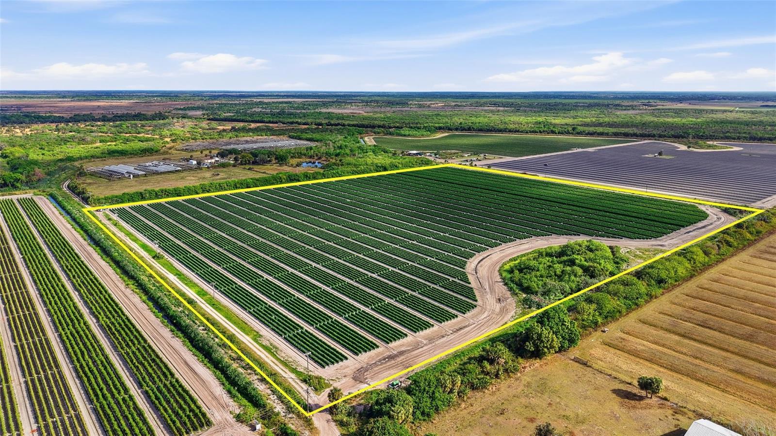 6150 PRINGLE LN, IMMOKALEE, FL, 34142